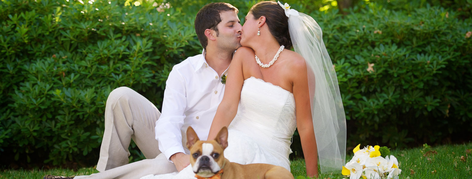 打爆电话的软件